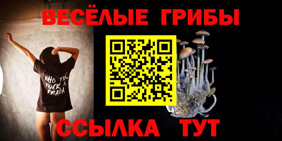 Воронеж  Галлюциногенные грибы ЛСД  купить закладку  Вход с VPN 